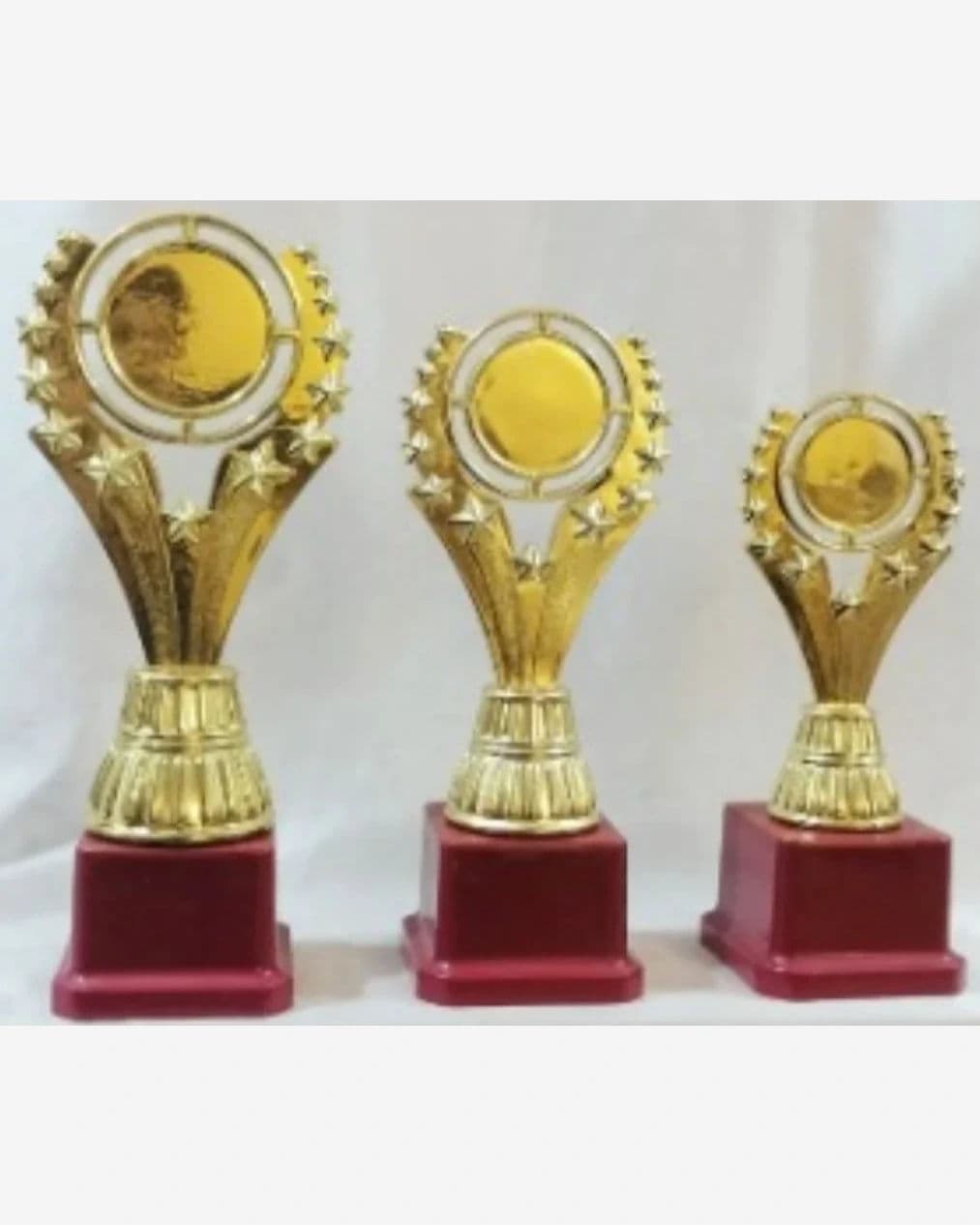 Trophy A-2/L (9.75 inch)