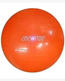 Gym Ball- Cockatoo 65cm — image 3