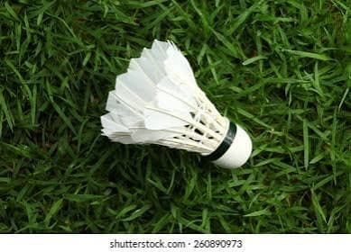 Badminton