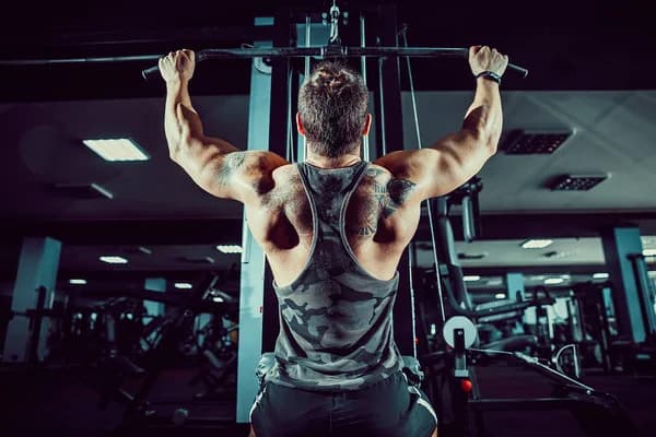 Gym & Fitness